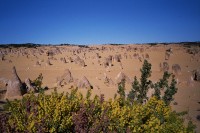 Pinnacles