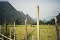 Vang Vieng countryside