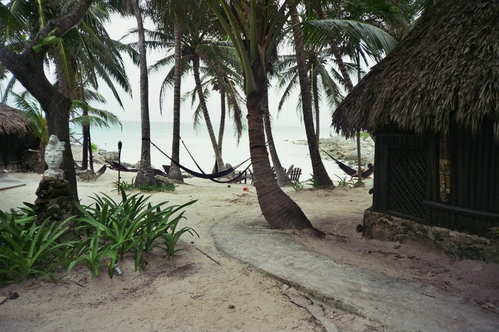 Bachelor In Paradise - General Discussion - <em>Spoilers</em> - Page 50