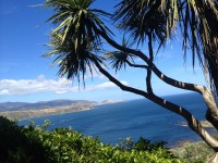 View over Cook Strait