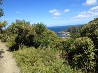 View over Cook Strait